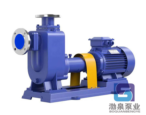 40ZW15-30_臥式自吸排污泵