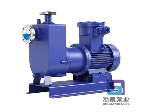 ZCQ32-25-145_耐腐蝕自吸磁力驅(qū)動泵
