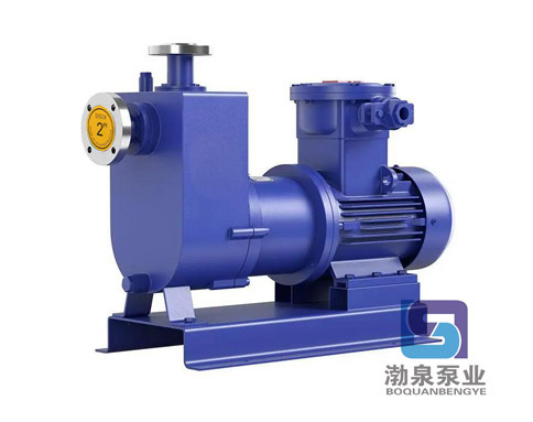 ZCQ100-65-200_防爆不銹鋼自吸磁力泵