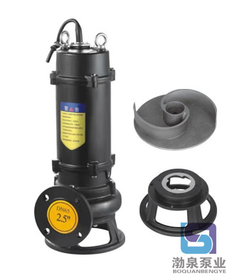 200WQ250-22-30QG|污水提升泵