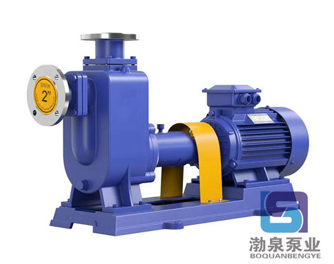 ZW100-80-45_臥式自吸排污泵